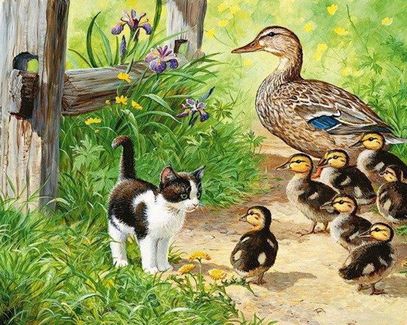 Chaton et Canards Peinture par Numéros