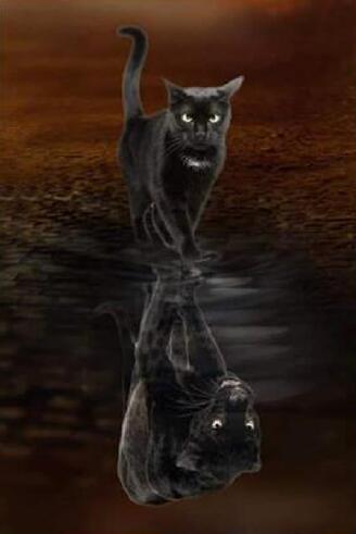 Chaton Noir et la Panthère Noire dans le Reflet Peinture par Numéros