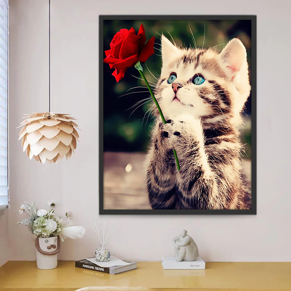 Chaton Tenant une Rose Peinture par Numéros