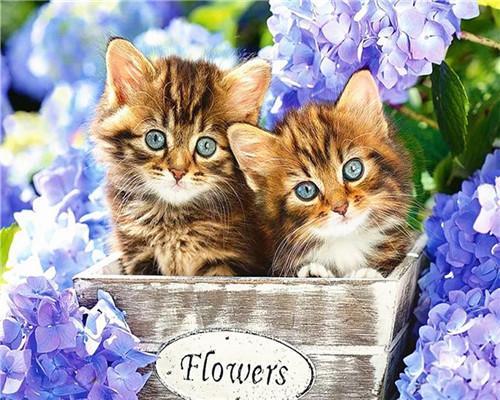 Chaton Tigrés et les Hortensias Peinture par Numéros