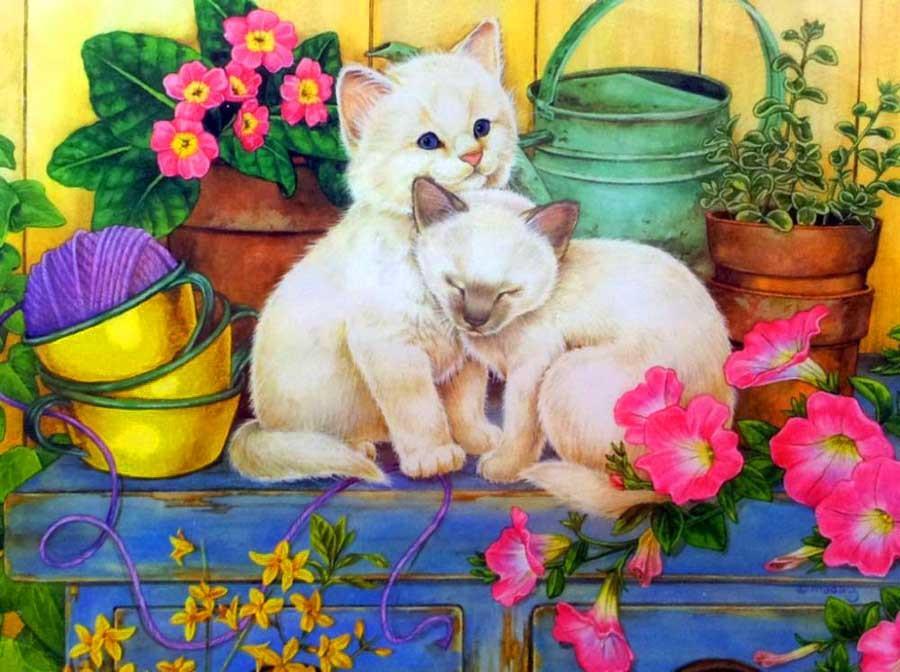 Chatons Blancs et des Fleurs Peinture par Numéros
