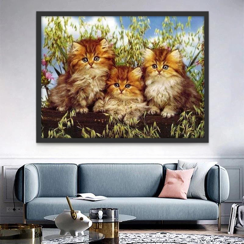 Chatons Oranges Peinture par Numéros