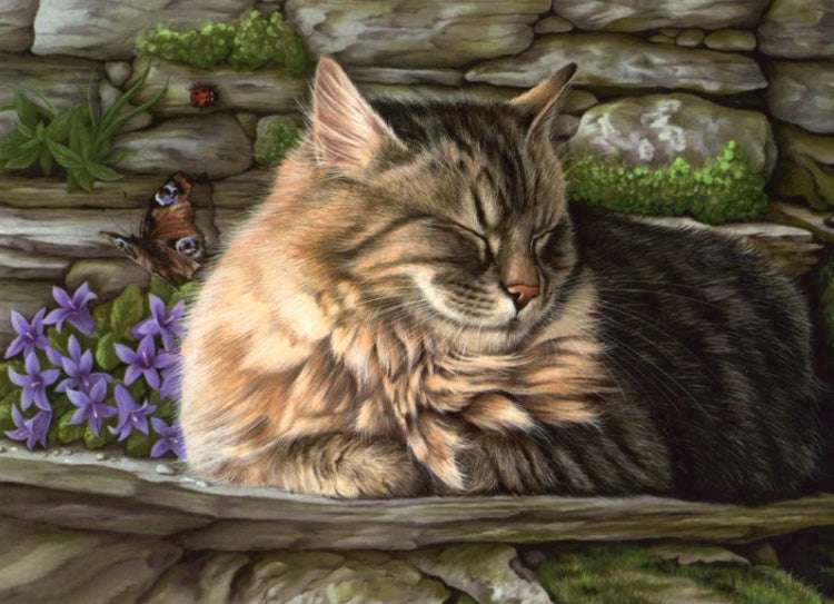 Chats Faisant une Sieste Peinture par Numéros