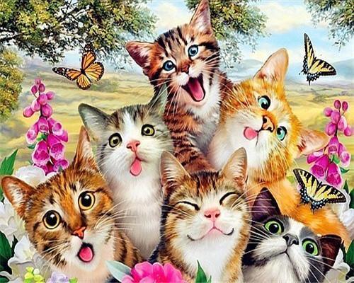 Chats Farceurs Prenant des Selfies Peinture par Numéros