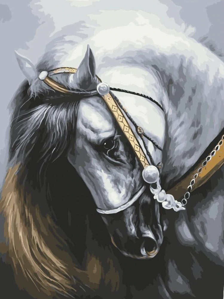 Cheval Blanc à la Crinière Longue Peinture par Numéros
