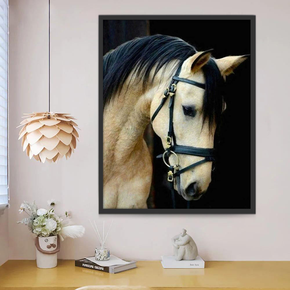 Cheval Blanc à la Crinière Noire Peinture par Numéros