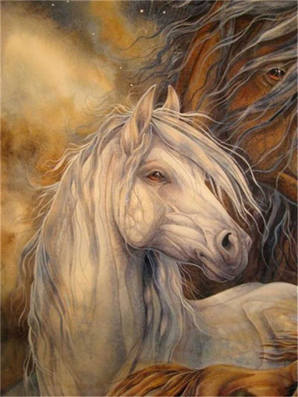Cheval Blanc et Cheval Brun avec le Ciel Etoilé Peinture par Numéros