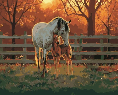 Cheval Blanc et Petit Cheval Peinture par Numéros