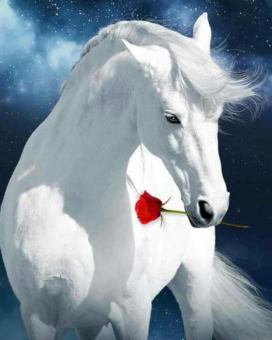 Cheval Blanc et Rose Rouge Peinture par Numéros