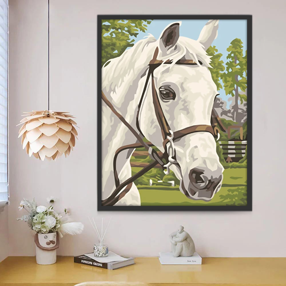 Cheval Blanc sur Herbe Peinture par Numéros