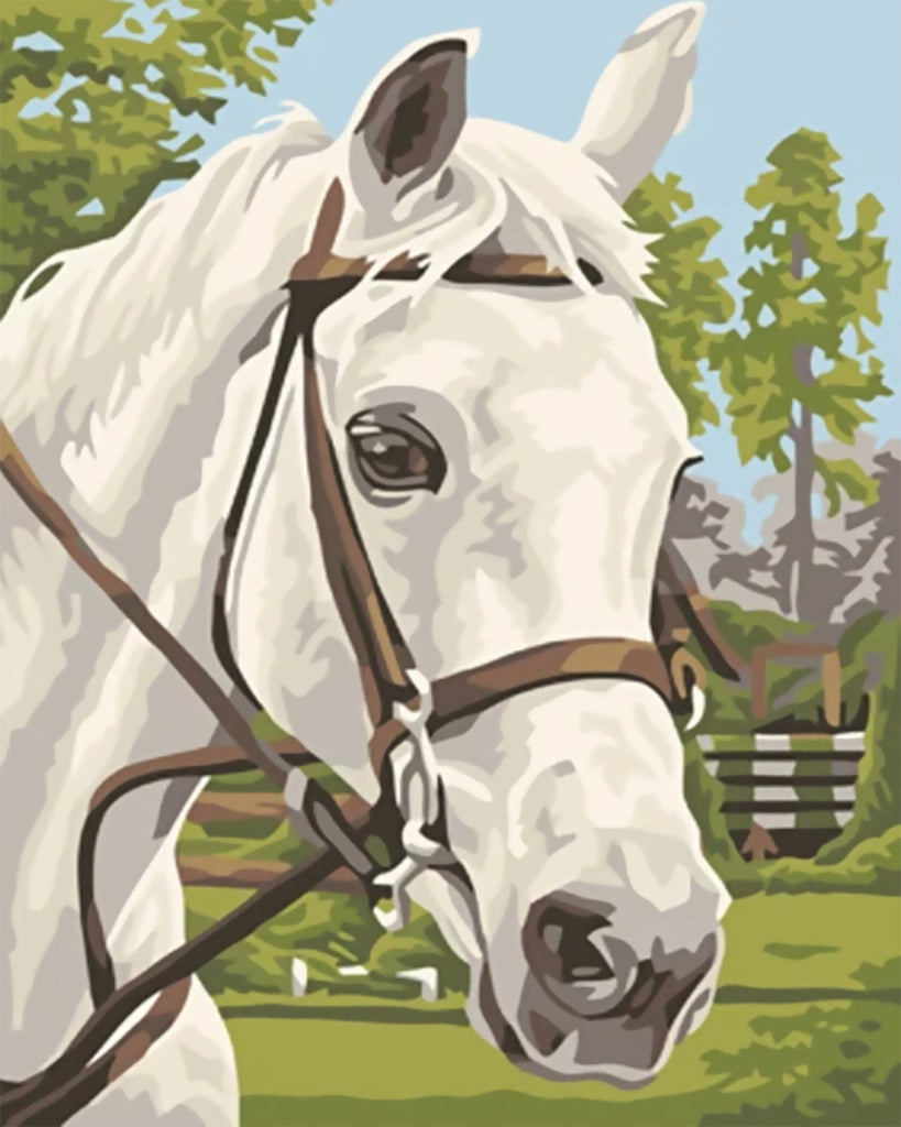 Cheval Blanc sur Herbe Peinture par Numéros