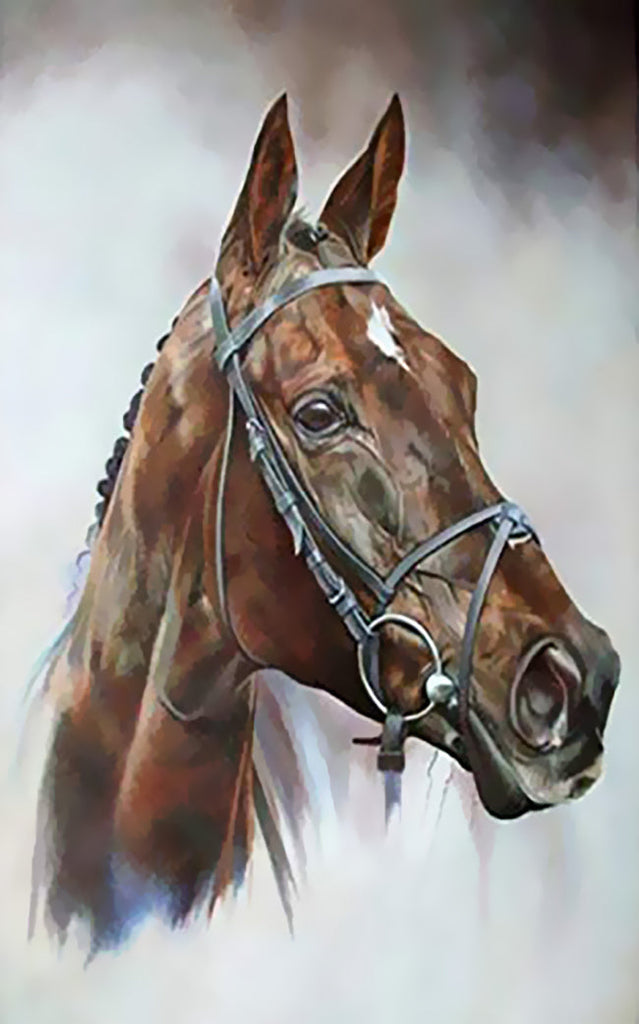 Cheval Brun et Blanc Peinture par Numéros