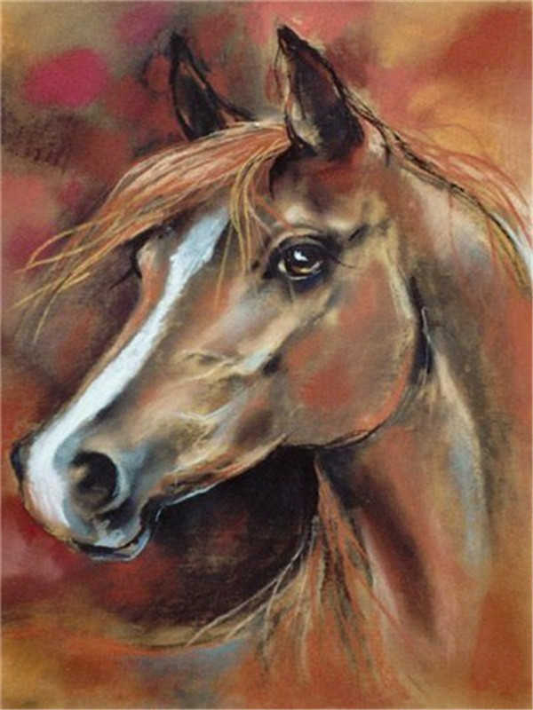 Cheval Charmant Peinture par Numéros