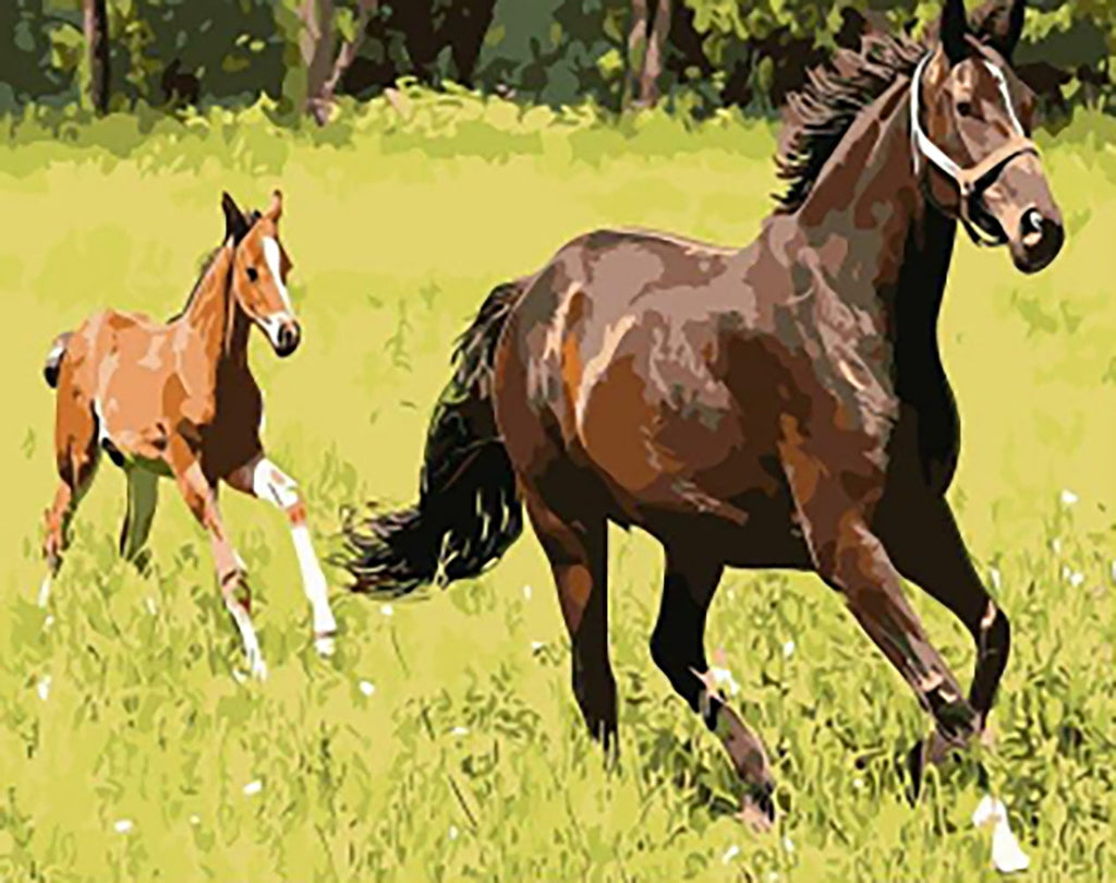 Cheval et Son Bébé au Galop Peinture par Numéros