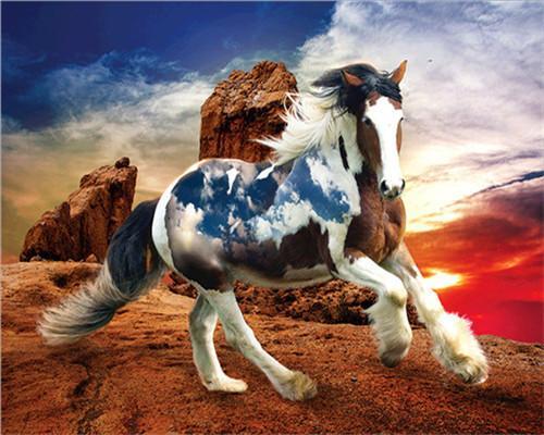 Cheval Fantastique Peinture par Numéros