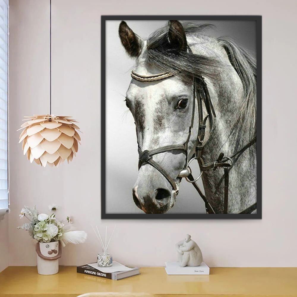 Cheval Joli Peinture par Numéros
