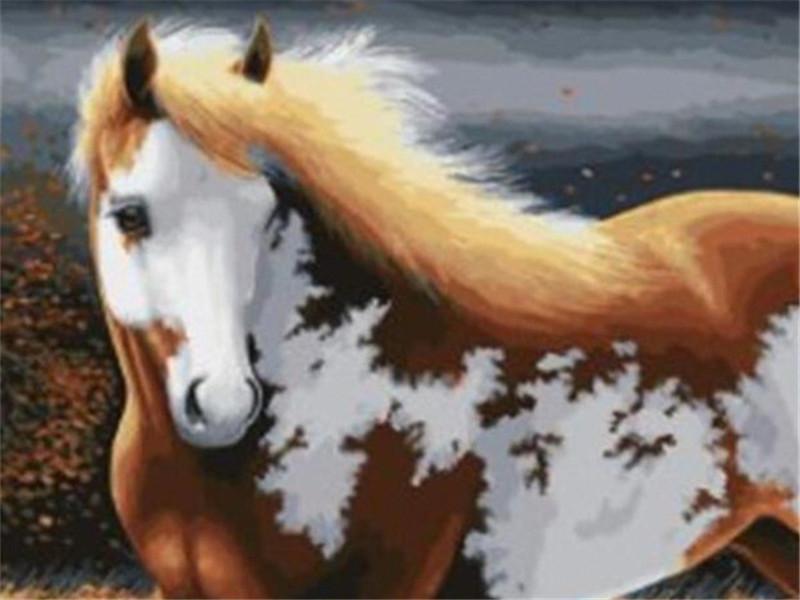 Cheval Joli Peinture par Numéros