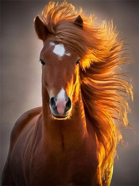 Cheval Marron au Soleil Peinture par Numéros