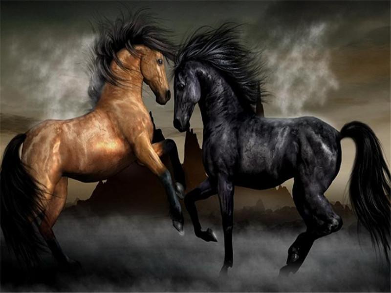 Cheval Marron et Cheval Noir Peinture par Numéros