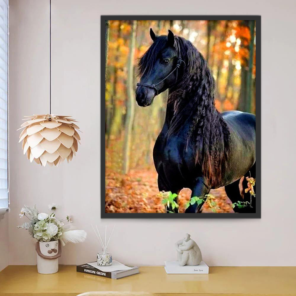 Cheval Noir à la Crinière Tressée Peinture par Numéros