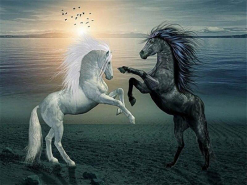 Cheval Noir et Cheval Noir au Bord de l'Eau Peinture par Numéros