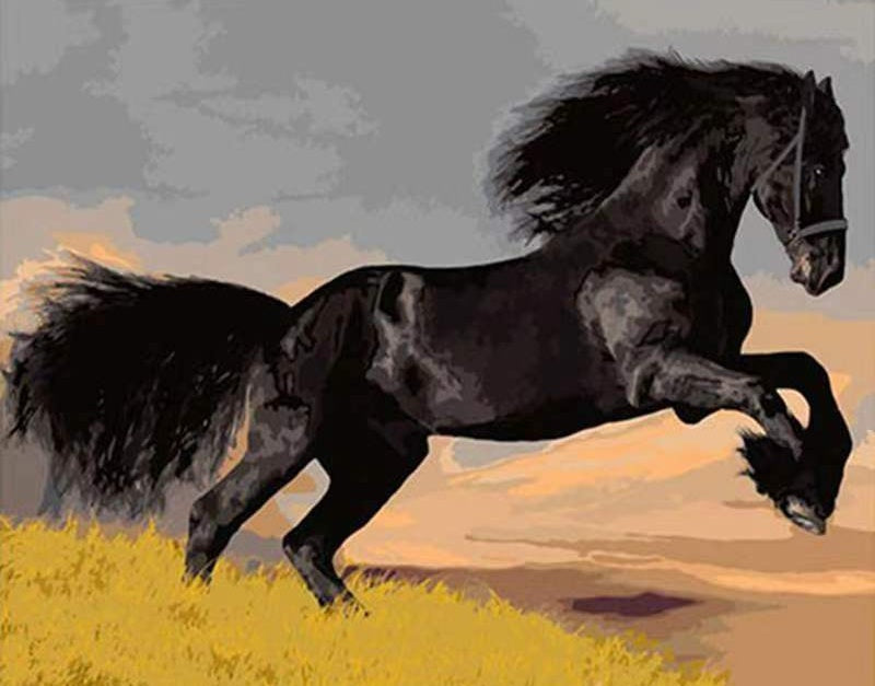 Cheval Noir et les Herbes Jaunes Peinture par Numéros