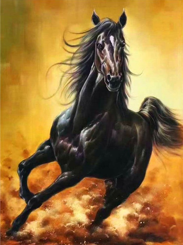 Cheval Puissant Noir Peinture par Numéros