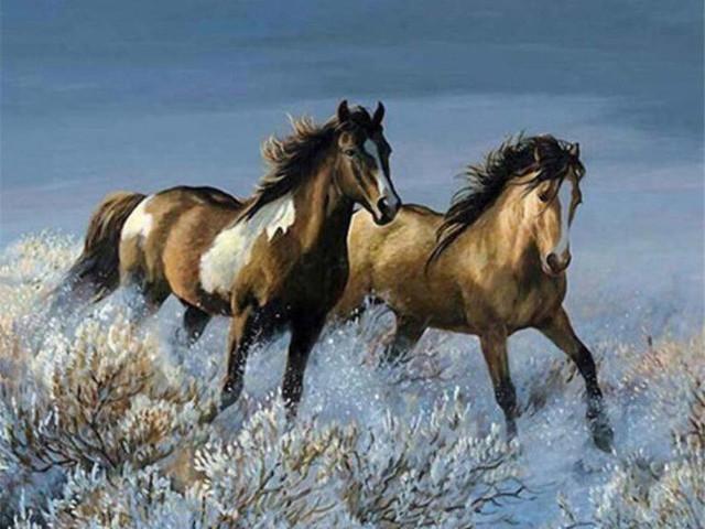 Chevaux Courant dans l'Eau Peinture par Numéros