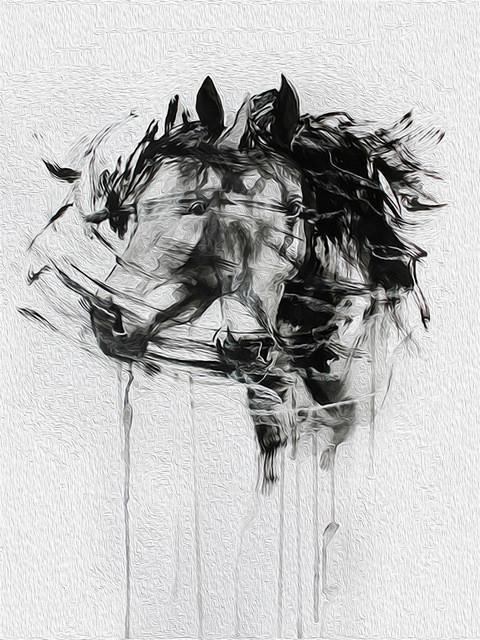 Chevaux d’encre Peinture par Numéros