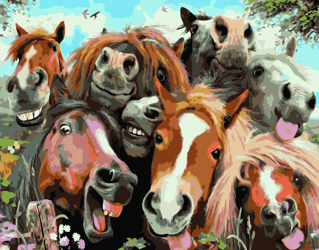 Chevaux Drôles Peinture par Numéros