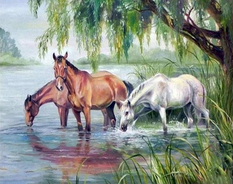 Chevaux Peinture par Numéros