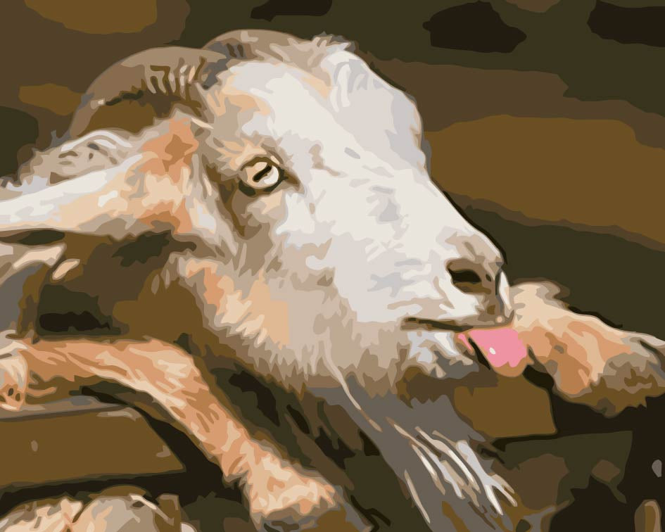 Chèvre Peinture par Numéros