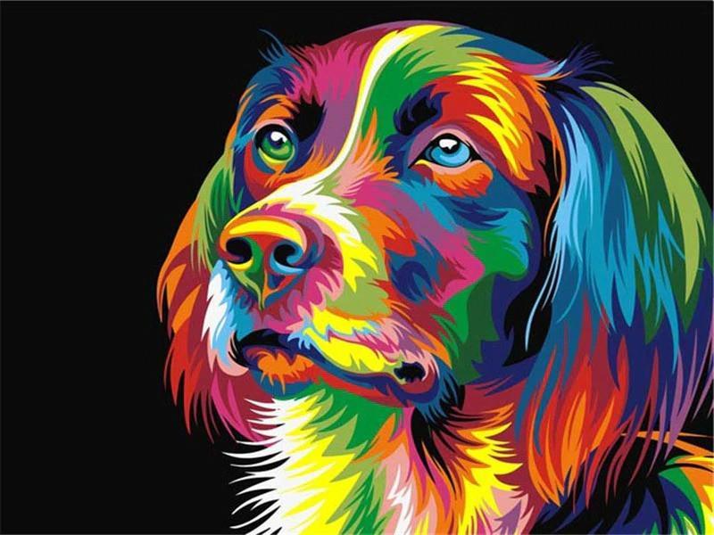 Chien à Poil Long Coloré Peinture par Numéros