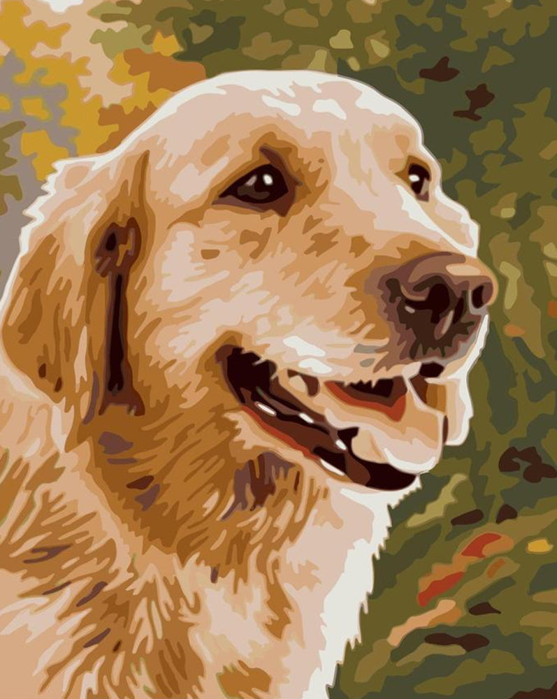 Chien Golden Retriever Peinture par Numéros
