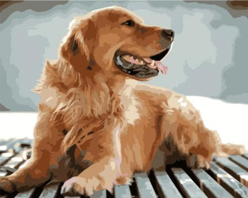 Chien Golden Retriever sans Souci Peinture par Numéros