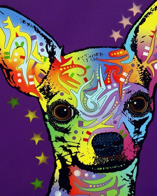 Chihuahua Coloré Peinture par Numéros