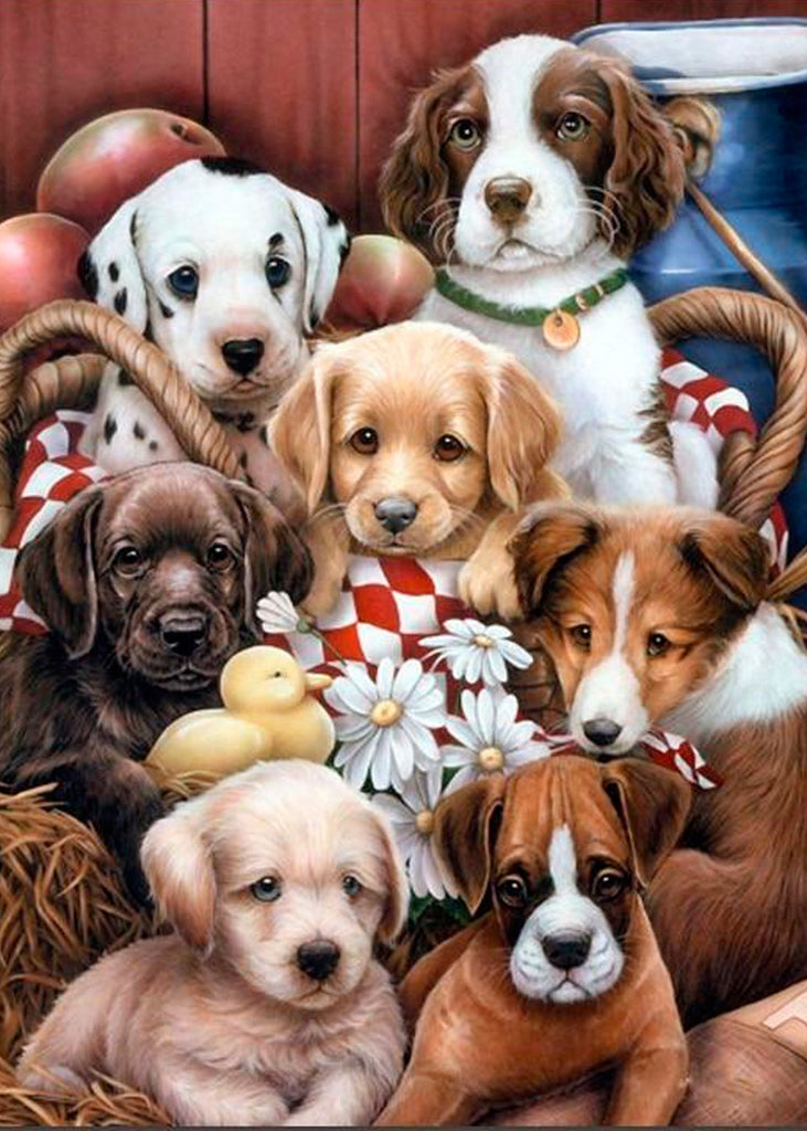 Chiots et Marguerites Blanches Peinture par Numéros