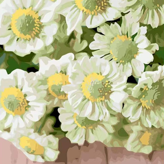 Chrysanthèmes Blancs Joli Peinture par Numéros
