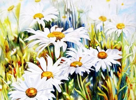 Chrysanthèmes Blancs Peinture par Numéros