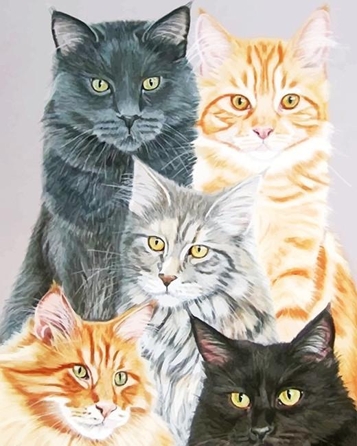 Cinq Chats Jolis Peinture par Numéros