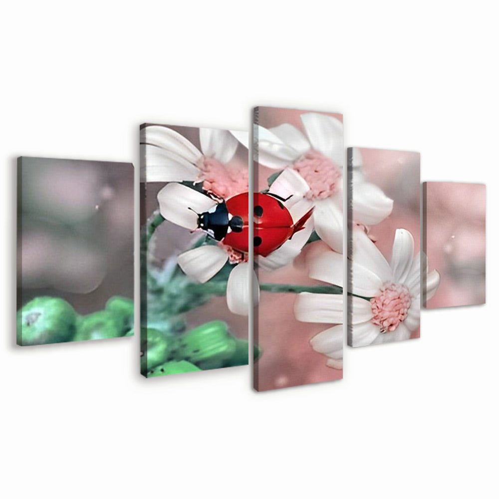 Coccinelle et Marguerites 5 Partie Peinture par Numéros