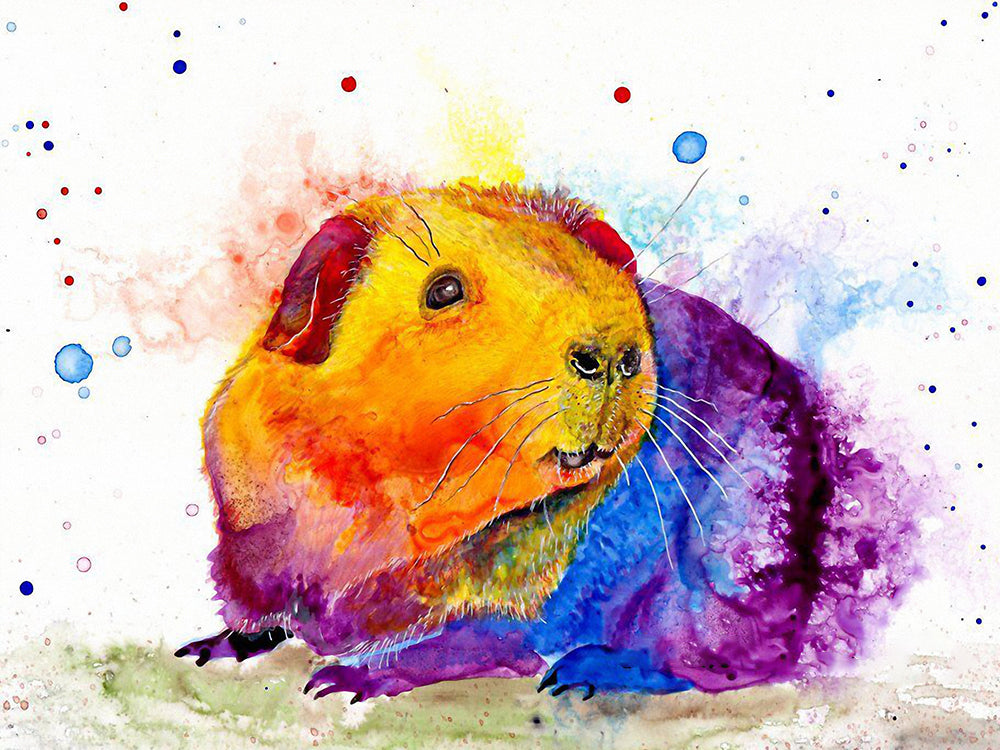 Cochon d'Inde Coloré Peinture par Numéros