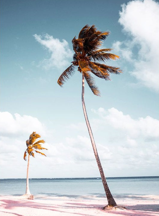 Cocotiers dans la Plage Peinture par Numéros