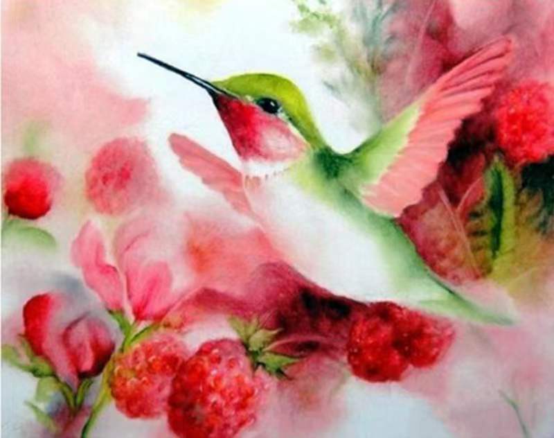 Colibri et Framboises Peinture par Numéros