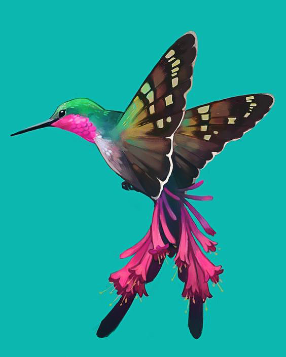 Colibri et Papillon Etranges Peinture par Numéros