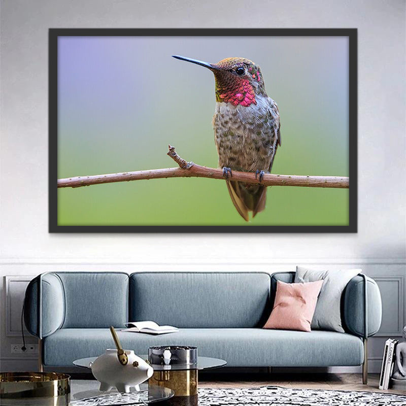 Colibri sur la Branche Peinture par Numéros