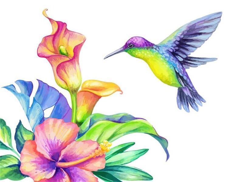 Colibri Volant et Fleurs Colorés Peinture par Numéros