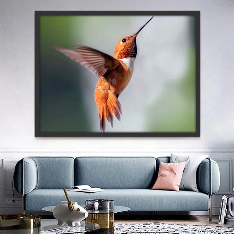 Colibri Volant Peinture par Numéros