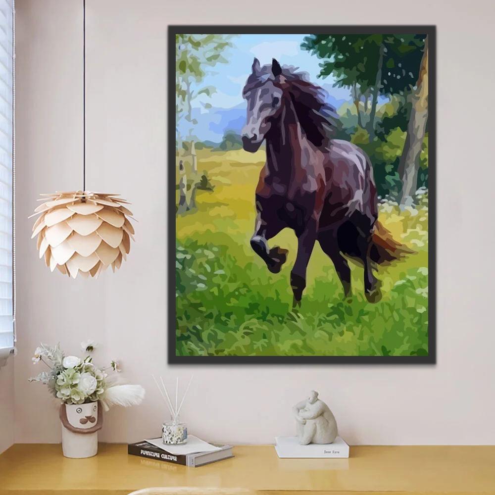 Cool Cheval Noir Peinture par Numéros