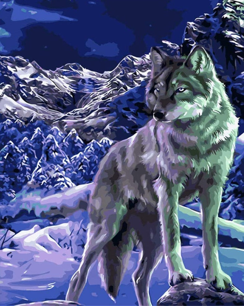 Cool Loup Peinture par Numéros